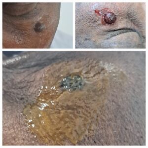 WhatsApp Image 2026-01-22 at 2.25.46 PM